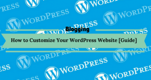How to Customize Your WordPress Website [Guide]