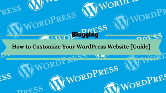 How to Customize Your WordPress Website [Guide]