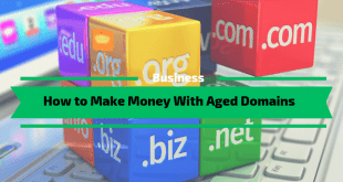 How to Make Money With Aged Domains