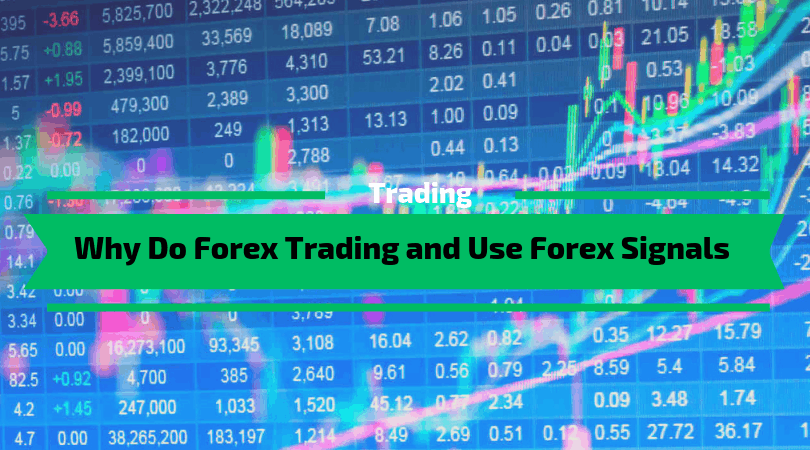 Why Do Forex Trading and Use Forex Signals