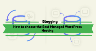 How to choose the Best Managed WordPress Hosting