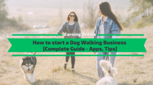 How to start a Dog Walking Business [Complete Guide]