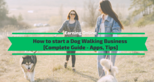 How to start a Dog Walking Business [Complete Guide]