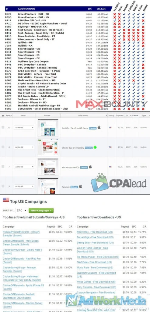 Above screen shot includes Maxbounty, CPALead and AdWorkMedia