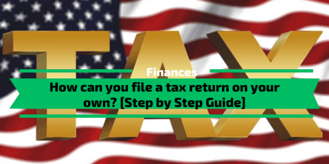 How can you file a tax return on your own? [Step by Step Guide]