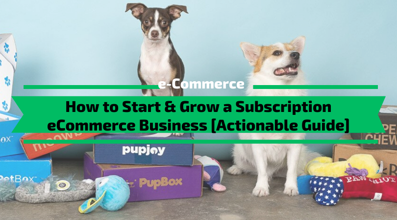 How to Start & Grow a Subscription eCommerce Business [Actionable Guide]