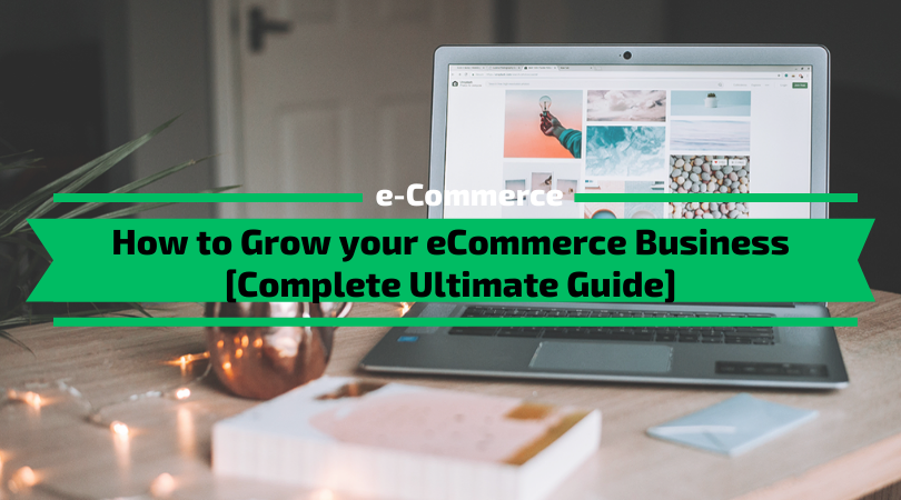 How to Grow your eCommerce Business Fast [Ultimate Guide]