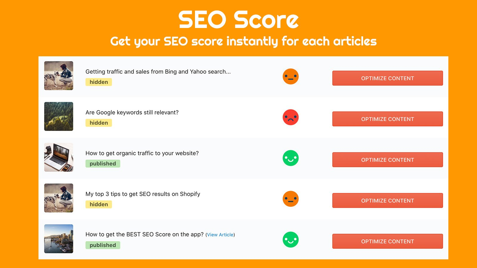 14. SEO Blog Optimizer by Axel Hardy