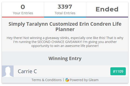 Bloggers Giveaway Example