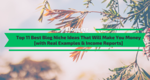 Best Blog Niches Ideas
