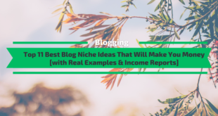 Best Blog Niches Ideas