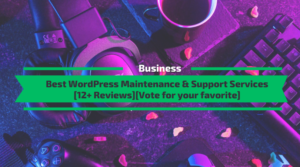 Best WordPress Mainteance and Support Services