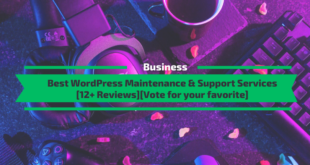 Best WordPress Mainteance and Support Services