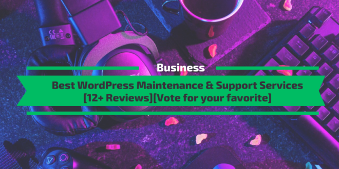 Best WordPress Mainteance and Support Services