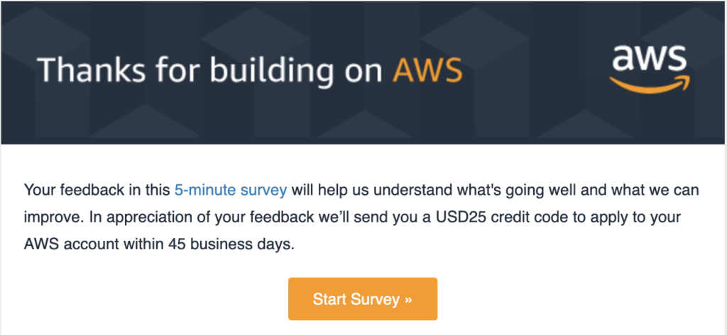 Amazon Feedback Email Campain Example 