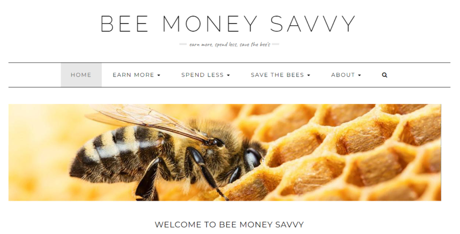 Bee Money Savvy - Income Report