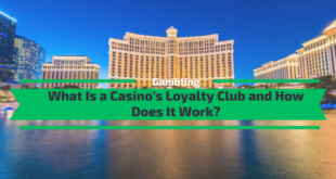 What Is a Casino Loyalty Club