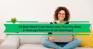 42 Best Work From Home Jobs That Pay Well