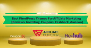 Best WordPress Themes For Affiliate Websites